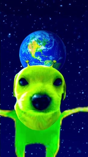 Alien dog #memes