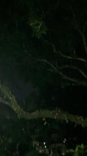 CREEPY SOUND AT MIDNIGHT 🌙 | Strange Night Noise 😱#shorts #night #scary #youtubeshorts #fyp