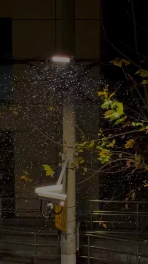 ‎별 이야기 _حديث النجوم‎ on Instagram‎: "You’re human too. You break. You stumble. You learn with trembling hands. It would be beautiful to grow without pain, but life never offers that path. It teaches through wounds, and leaves wisdom behind.So don’t be too hard on yourself— be gentle with your own heart. أنتَ أيضًا إنسان. تتعثّر، وتنحني، وتتعلّم وقلبك يرتجف. لو كان النضج بلا ألم ممكنًا، لما كانت الحياة هكذا. إنها تُعلّمنا عبر الجراح، وتترك فينا أثر الحكمة. لذلك، لا تقسُ على نفسك، وارفق بقلبك قليل