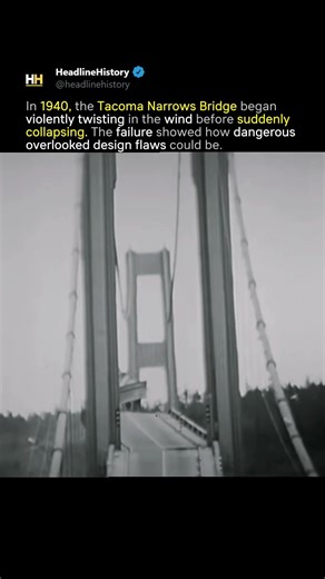 The Bridge That Collapsed in the Wind 💨