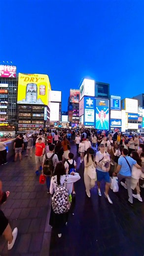Dotonbori Osaka #dotonbori #osaka #japan #rcbtrips #walking tour g