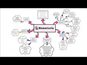 Hematuria - OSCE