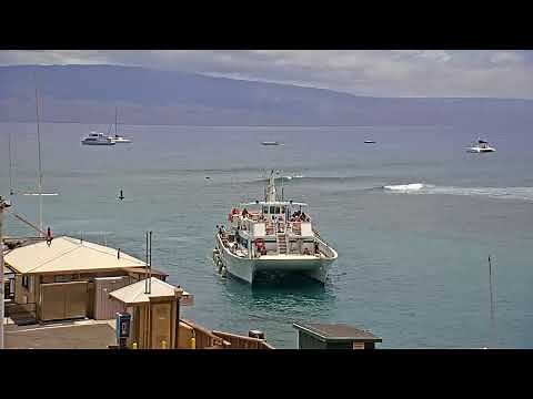 Lahaina Harbor Cam Live