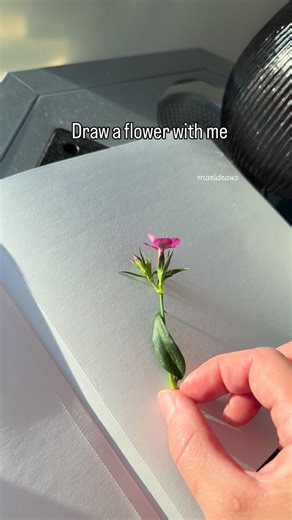 Marina 🎨 | Let's draw a flower together#draw #art #reels #painting #drawing | Instagram