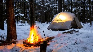 157K views · 7.1K reactions | winter camping in freezing temperatures in a snow covered forest with campfire and tent. solo camping adventure with campfire cooking in nature on this outdoor adventure. #adventure #camping #nature | Lonewolf 902 | Facebook