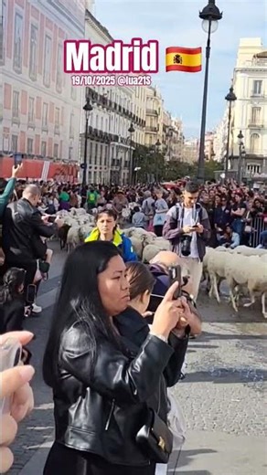 Ovelhas desfilando em pleno centro de Madrid 🐑🇪🇸✨ | Fiesta de la Trashumancia 2025