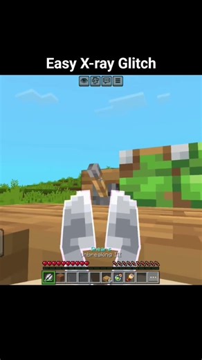 Minecraft Easy X-ray Glitch Moment