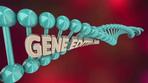 Ancient DNA Shatters Myths: Africa’s Real Story