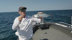 It's one of the most action packed methods of fishing and one that many anglers return to time and time again. In this video Guesty talks us through his set up for spinning metal slugs at high speeds with the aim of landing a feed of bonito sashimi for lunch. Check it out! | BCF - Boating, Camping, Fishing