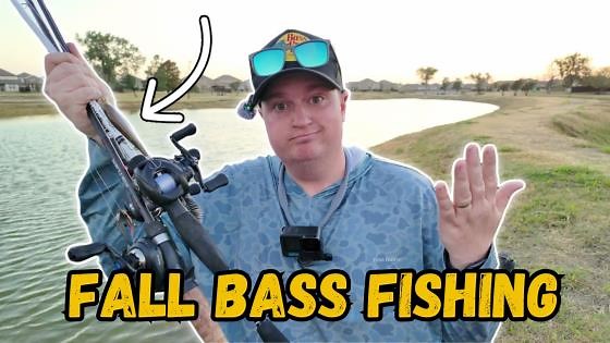 What are the bass doing right now? Fall bass fishing Fort Worth, Texas ponds