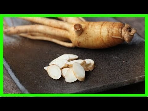 Découvrez le ginseng, comment le prendre et toutes ses vertus