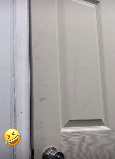 Cared Bayc (@caredbayc)’s videos with sonido original - Cared Bayc