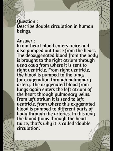 Describe double circulation in human beings.