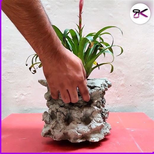 Creative Combo Planters for Every Corner 🌿🪴 #diy #gardening #planter | RusticKraft