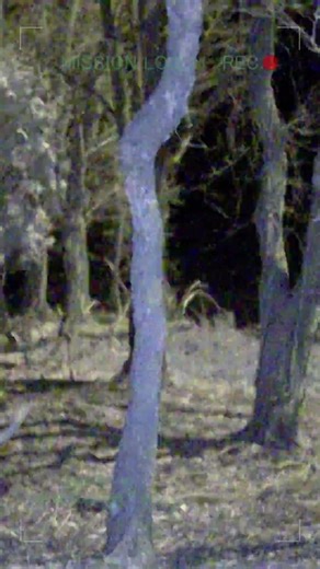 UNCONFIRMED ANOMALY – Mission Log 01｜未確認異常の記録 #探索 #military #nightvision