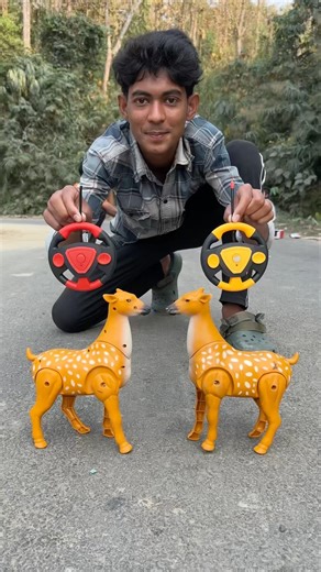 RC Two Remote Control Horin Deer Unboxing Dise 😱