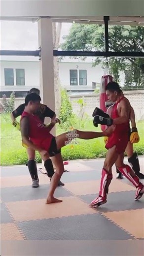 Teepee Kick Technique 🔥#technique