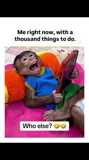 Distractions!! I’m suppose to be off this here ignernet 🤣#tiktok #comedy #trending #fyp #Focus