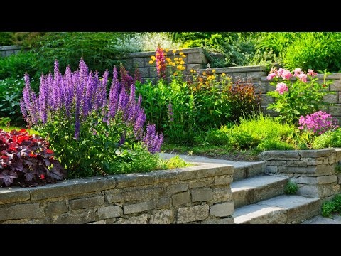 Basics of Landscape Design
