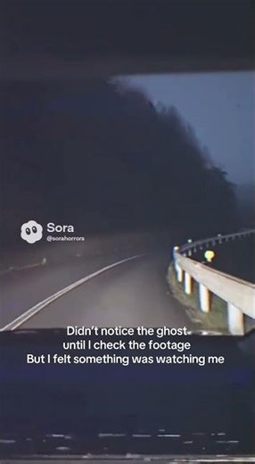 I didn’t see anyone on the road… but the dash cam did #sorahorror #dashcam #japan