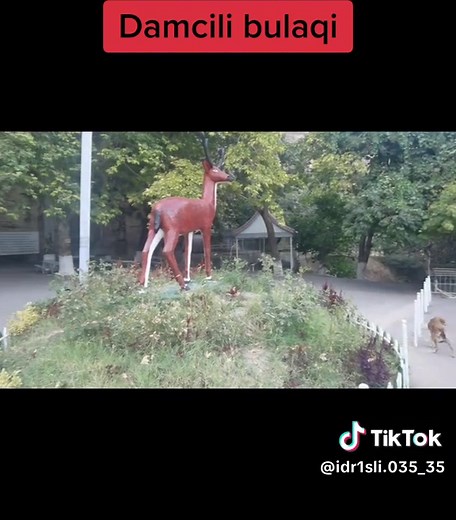 Exploring the Red Deer Statue in a Scenic Park Setting
