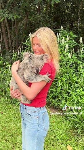 Traveling for a Koala Hug with Robert Irwin