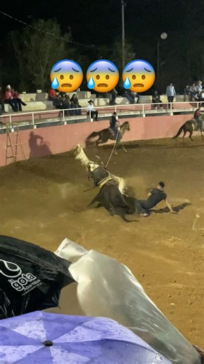 ‼️Because of the rain, the horse slips and is left at the mercy of the bull‼️😬🔥