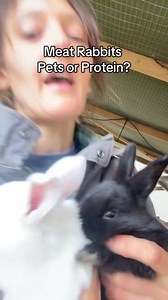 188K views · 4.9K reactions | Meat rabbits and why you should be raising them! #MeatRabbits #RaisingRabbits #HomesteadRabbits #BackyardMeat #SustainableMeat #RabbitMeat #HomesteadLife #ModernHomesteading #SelfSufficientLiving #HomesteadSkills #FarmTok #HomesteadTok #OffGridLiving #BackyardFarming | Magabeleah | Facebook