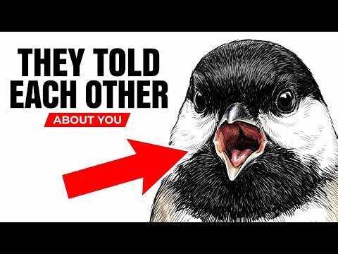 What Your Bird's Body Language Is Actually Telling You (Most People Never Notice This)