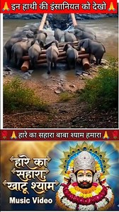 इन हाथियों के इंसानियत को देखो🙏 #shyambabalovers #funny #shreekhatushyam #khatupremi #hindudeity