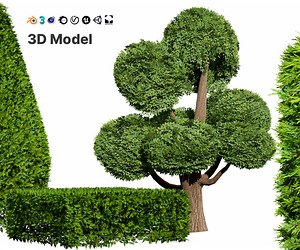 ArtStation - Juniper & Bush 3D Model | Resources