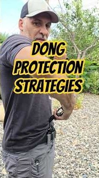 Dong Protection Strategies