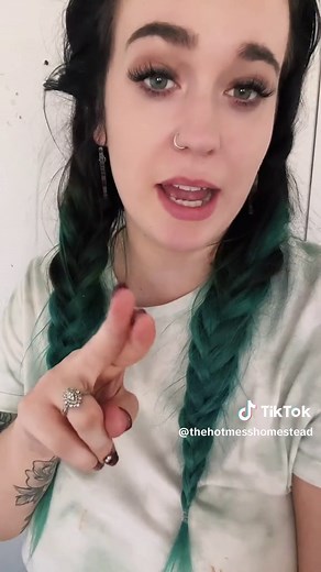 Homeschool Curriculum Organization and Content Ideas