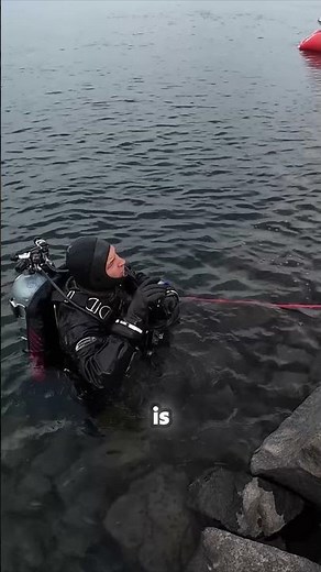 Identifying the Van Underwater: The Final Clues