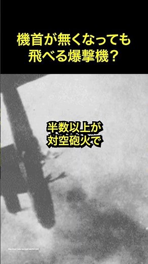 B-17は機首が破壊されても生還可能？ドイツを敗北に導いた最強爆撃機の秘密とは？