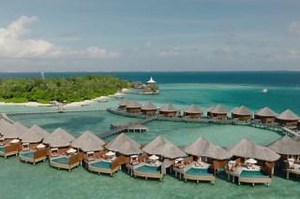 Explore the Maldives at its best at iconic Baros. Our island’s house reef is world-class, and we invest in the natural heritage and beauty of Baros, ensuring that you get to experience pure underwater bliss. https://www.baros.com/divers-baros-maldives | Baros Maldives