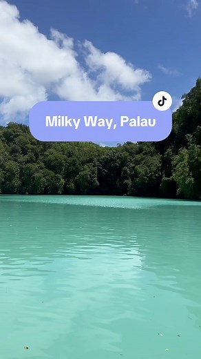 Experience a Natural Mud Bath in Stunning Turquoise Waters of Palau