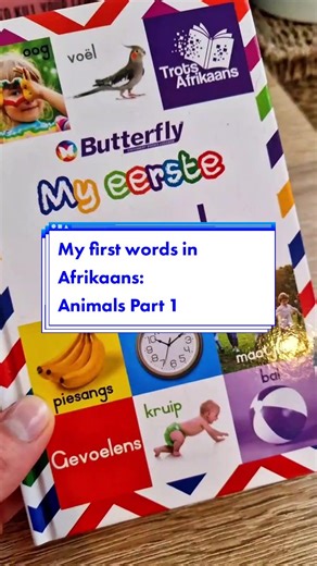 My first words in Afrikaans - Lessons for beginners! #languagechallenge #afrikaans #languagelesson #learnafrikaansonline #afrikaanslesson