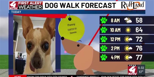 Dog Walk Forecast: Penny