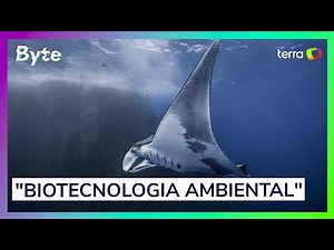 Como a biotecnologia ambiental transforma a natureza