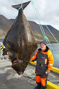 What is the world record for largest halibut? [2025] | QAQooking.wiki