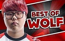世界上最暖心的辅助|Best of Wolf