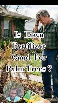 STOP USING This Fertilizer On Your FREEZE DAMAGED Palm Trees