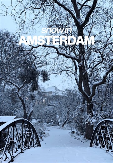 Snow in Amsterdam Today: Winter Wonderland Experience