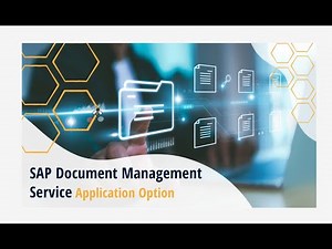 What is SAP Document Management Service, Application Option?