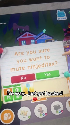 Recovering From Being Hacked in Adopt Me