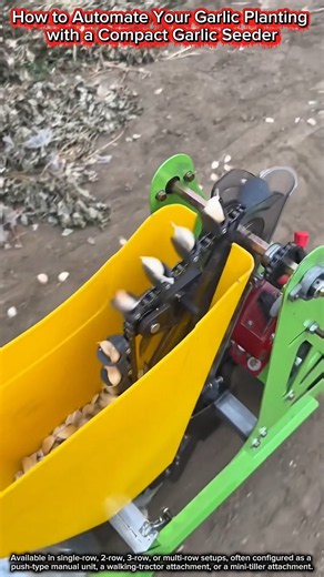 How to Automate Your Garlic Planting with a Compact Garlic Seeder