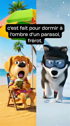 Les 7 erreurs qui mettent votre animal en danger🐾Guide Pdf dans la bio🐾 #chien #voyage