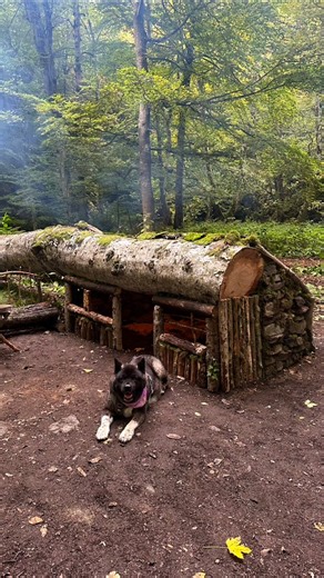 16M views · 349K reactions | 3 Days SOLO SURVIVAL CAMPING In RAIN;...