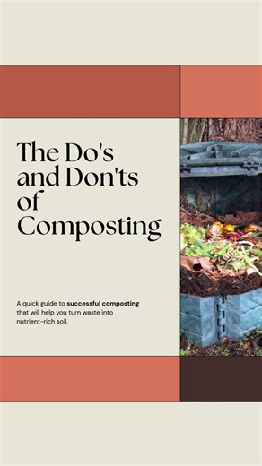Do's and Don'ts of Worm Composting